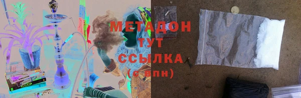 прущие грибы Беломорск