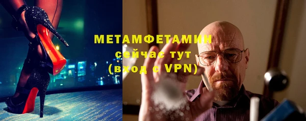 прущие грибы Беломорск