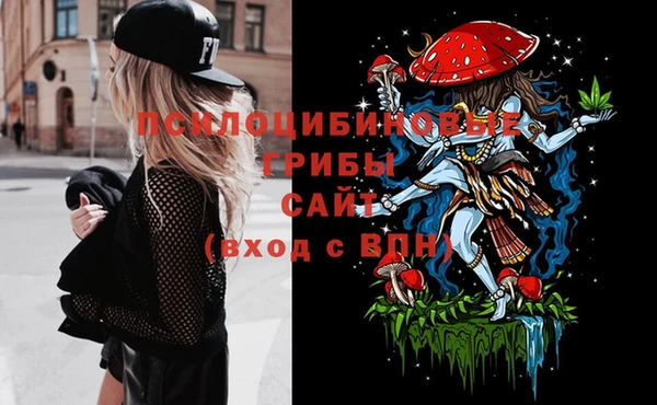 гашик Белоозёрский