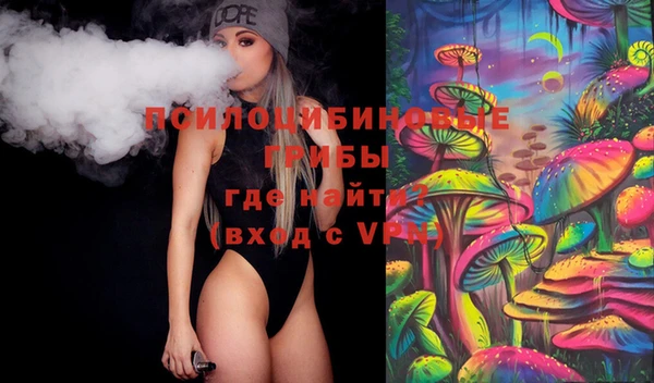 ECSTASY Снежногорск