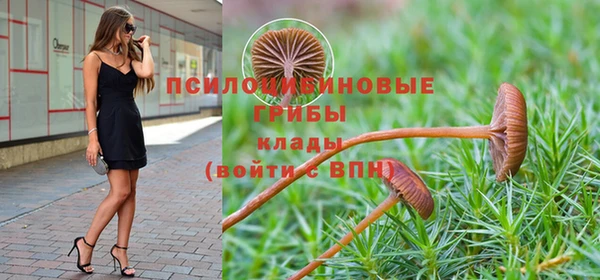 jwh Белокуриха