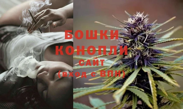 гашик Белоозёрский