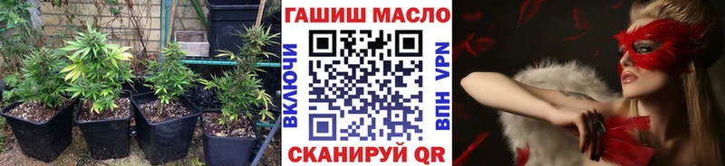 где купить   Шумиха  ТГК THC oil 