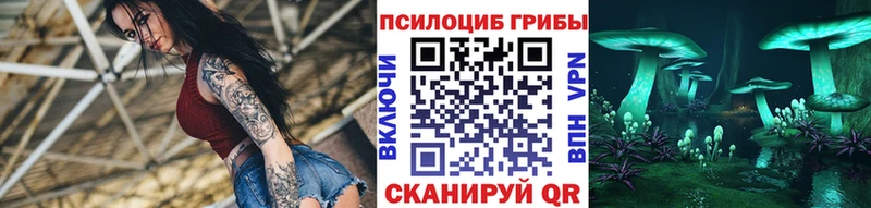 Галлюциногенные грибы Psilocybine cubensis  KRAKEN маркетплейс  сайты даркнета какой сайт  магазин  наркотиков  Шумиха 